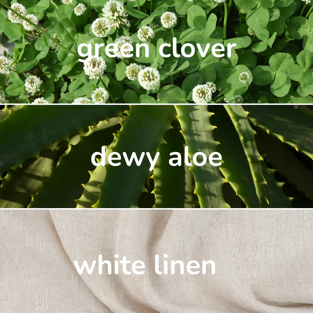 The Floridian Room + Linen Spray